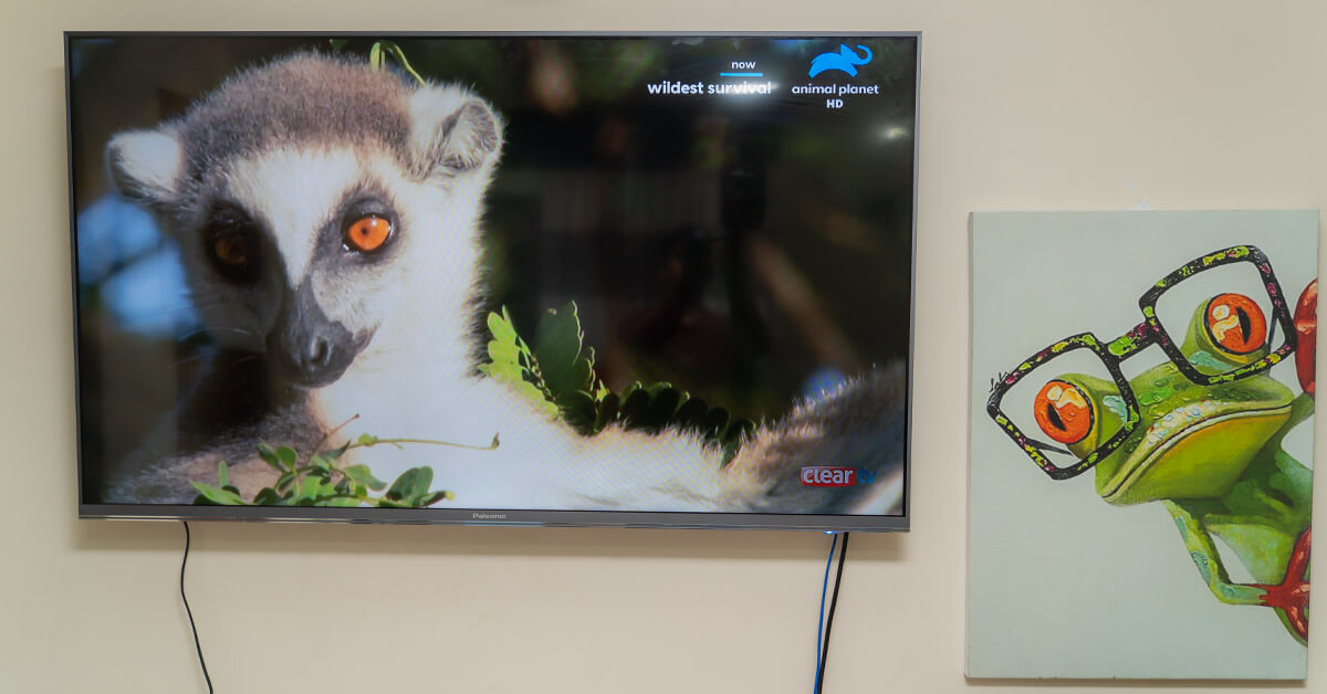 Palsonic 55QX7000 Review: Premium-Looking Smart TV at an Affordable Price